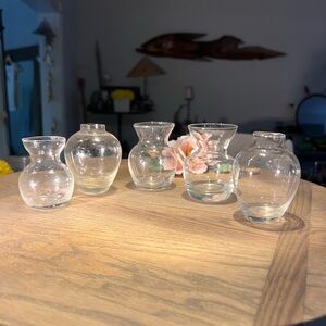 Chic Transparent Glass Vase Collection gently used selling as set of 5